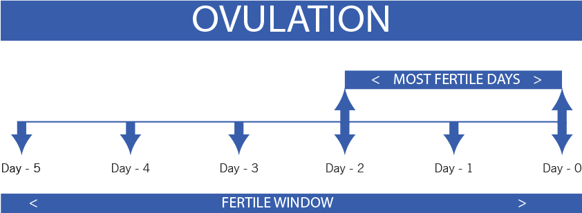 Mature Pregnant Tube